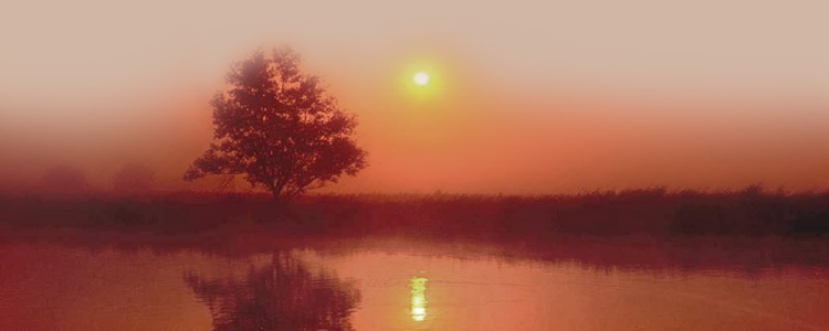 Indiana Professional Psychological Services